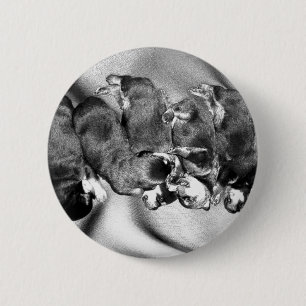 sleepyhead rottweiler puppies 6 cm round badge