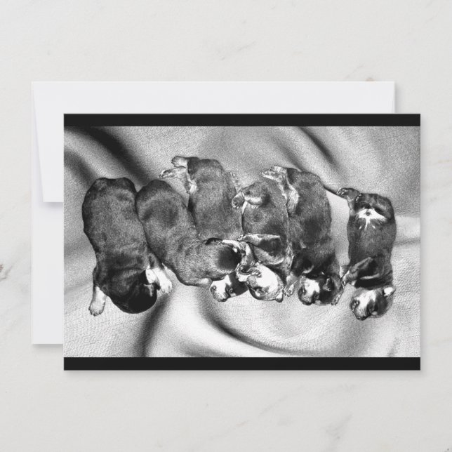 sleepyhead rottweiler puppies invitation (Front)