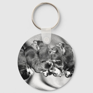 sleepyhead rottweiler puppies key ring