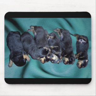 sleepyhead rottweiler puppies mouse mat