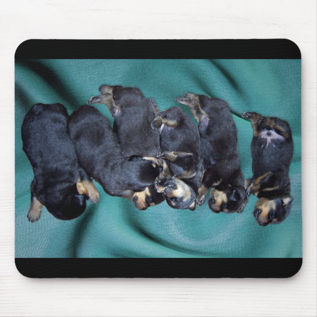 sleepyhead rottweiler puppies mouse mat (Front)