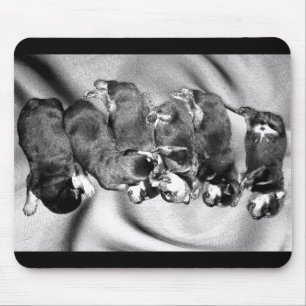 sleepyhead rottweiler puppies mouse mat