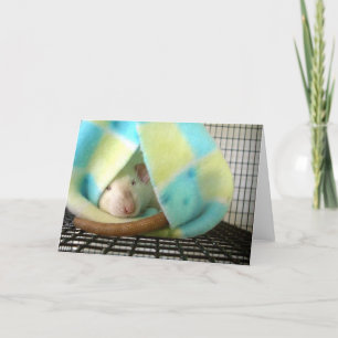 Sleepytime Thank You Card