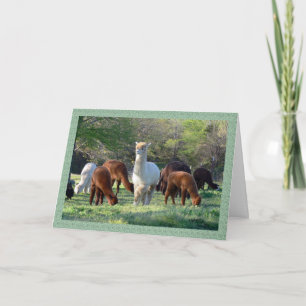 Sleigh Belle Christmas Card