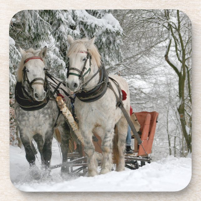 Sleigh Ride in the Snowy Forest Coaster (Front)