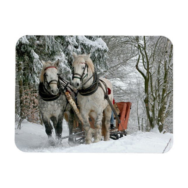 Sleigh Ride in Winter Wonderland Magnet (Horizontal)