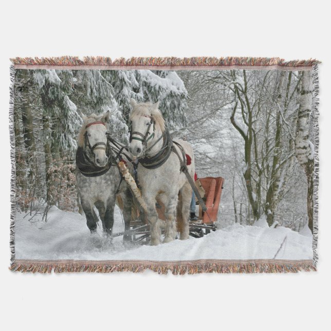Sleigh Ride in Winter Wonderland Throw Blanket (Front)