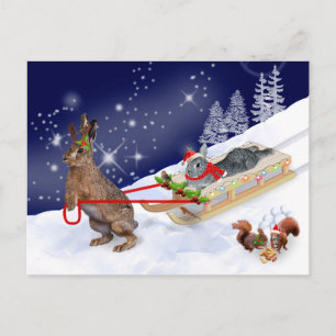 Sleigh Ride Postcard