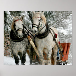 Sleigh Ride Poster