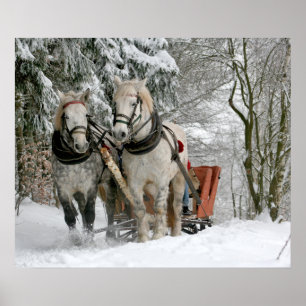 sleigh+ride,snow,forest,horse,winter,white,gallop, poster