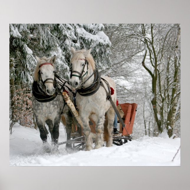 sleigh+ride,snow,forest,horse,winter,white,gallop, poster (Front)