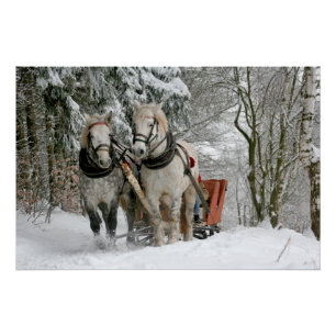 sleigh+ride,snow,forest,horse,winter,white,gallop, poster
