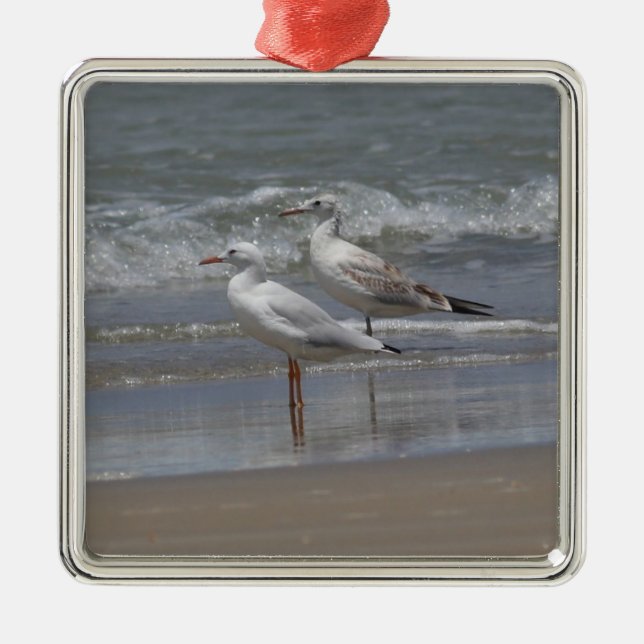 Slender-billed Gulls Ornamanet Metal Tree Decoration (Front)