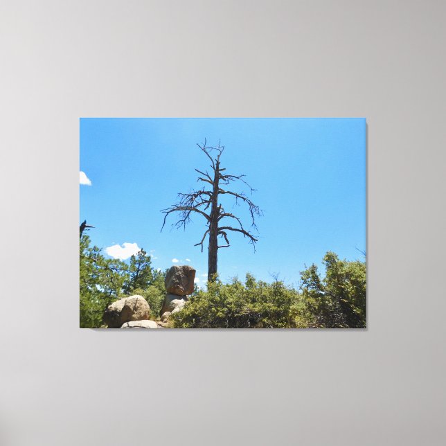 Slice of Heaven Canvas Print (Front)
