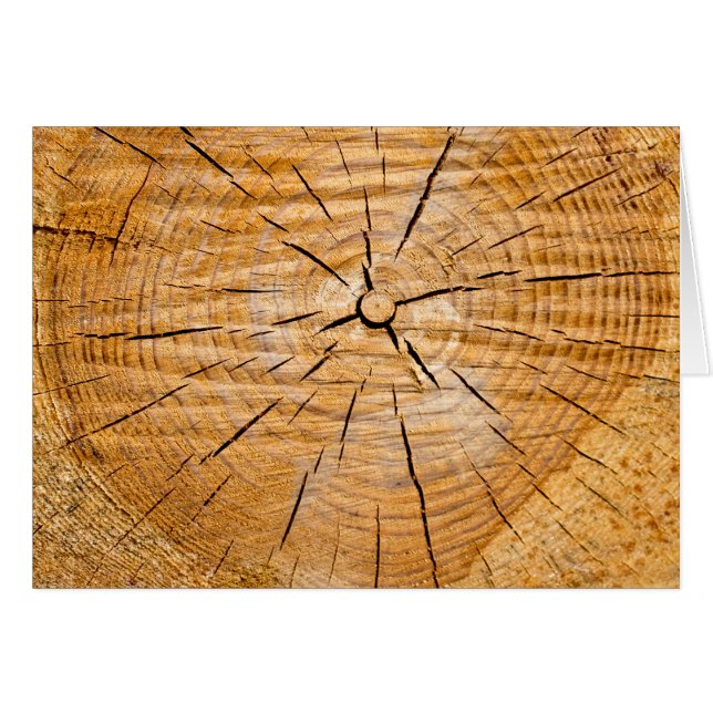 Slice of Life (Front Horizontal)