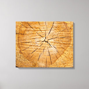 Slice of Life Canvas Print
