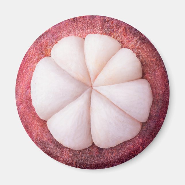 Slice of mangosteen magnet (Front)