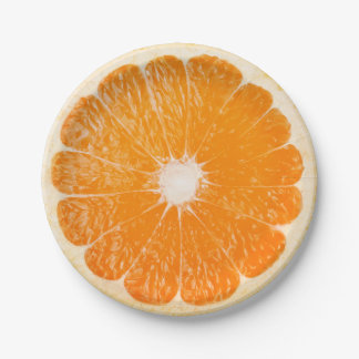 Slice of orange paper plate