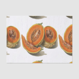 Sliced cantaloupe melon illustration tissue paper