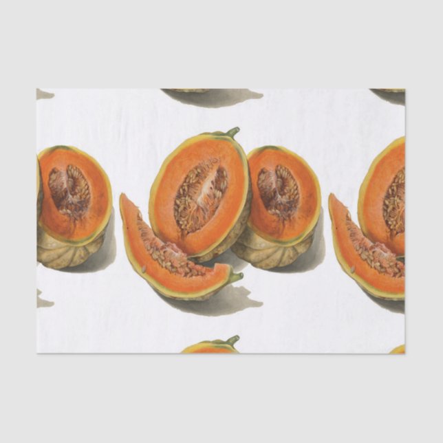 Sliced cantaloupe melon illustration tissue paper (Front)