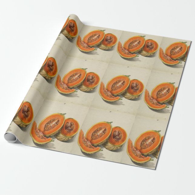 Sliced cantaloupe melon illustration wrapping paper (Unrolled)