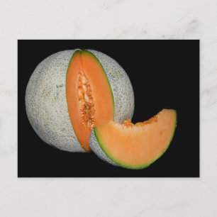 Sliced Cantaloupe Melon Postcard
