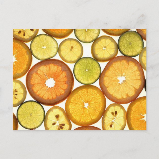 Sliced Citrus Postcard (Front)
