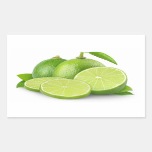 Sliced limes rectangular sticker
