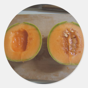 Sliced Melon ~ sticker