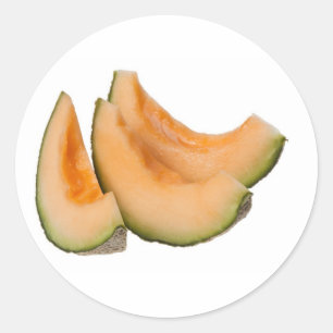 Slices of rockmelon classic round sticker