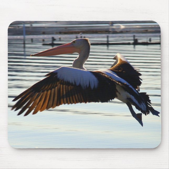 slide mouse mat (Front)