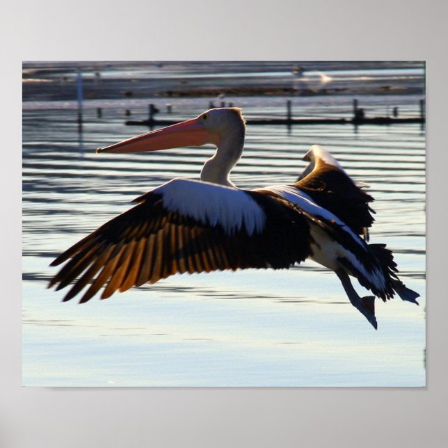 slide poster (Front)