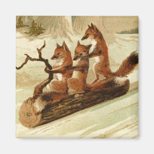 Sliding Foxes Magnet
