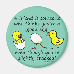 Slightly Cracked Funny Best Friend Saying Magnet