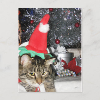 Slim Kitty Elf & the Tinsel Tree Holiday Postcard
