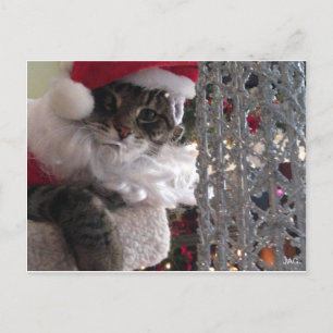 Slim Kitty Santa & the Glitter Tree Holiday Postcard