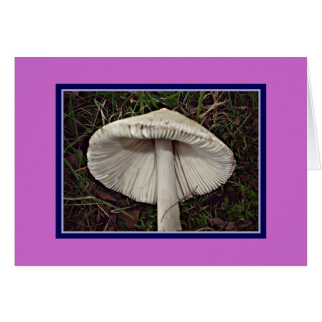 Slim Shady Shroom (Front Horizontal)