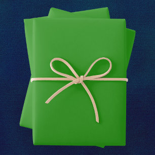 Slimy Green Solid Colour Wrapping Paper Sheet