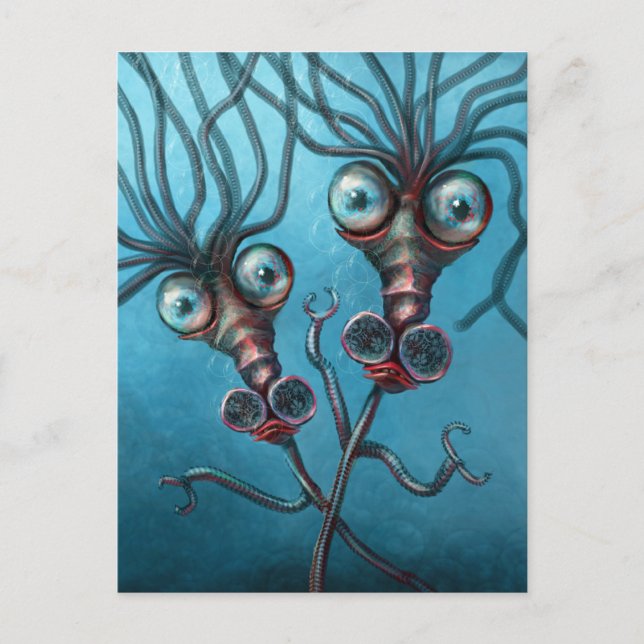 Slinky Seahorses Postcard (Front)