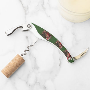 SlipperyJoe candy canes male chest lollipop colorf Corkscrew