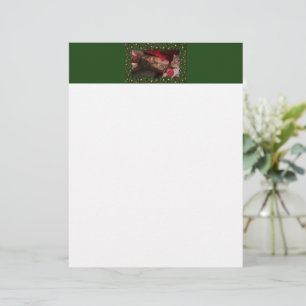 SlipperyJoe candy canes male chest lollipop colorf Custom Letterhead