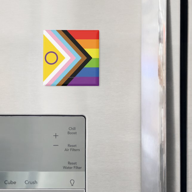 SlipperyJoe Intersex Progress Pride Flag rainbow s Magnet (In Situ (Fridge))