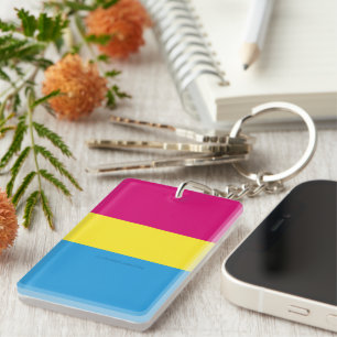 SlipperyJoe pansexual pride flag pink amber and cy Key Ring
