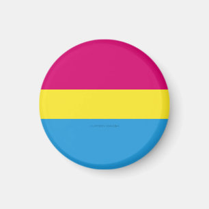 SlipperyJoe pansexual pride flag pink amber and cy Magnet