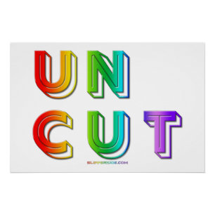 SlipperyJoe uncut vibrant lively neon rainbow ener Poster