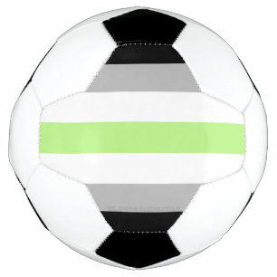 SlipperyJoe's Agender Pride Flag gay gifts LGBTQIA Football