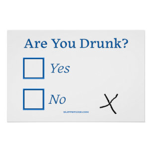 SlipperyJoe's Are You Drunk hammered check boxes c Poster