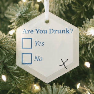SlipperyJoe's are you drunk humourous slightly sar Glass Tree Decoration