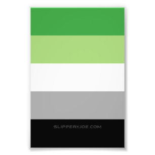 SlipperyJoe's Aromantic Pride Flag gay gifts LGBTQ Photo Print