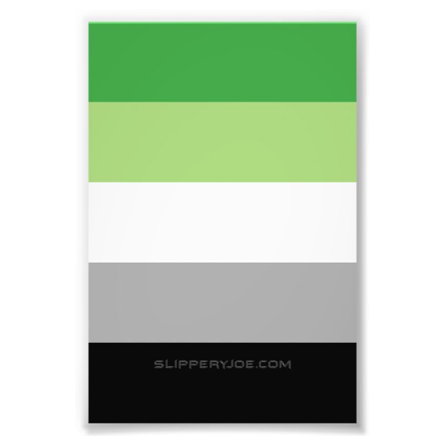 SlipperyJoe's Aromantic Pride Flag gay gifts LGBTQ Photo Print (Front)